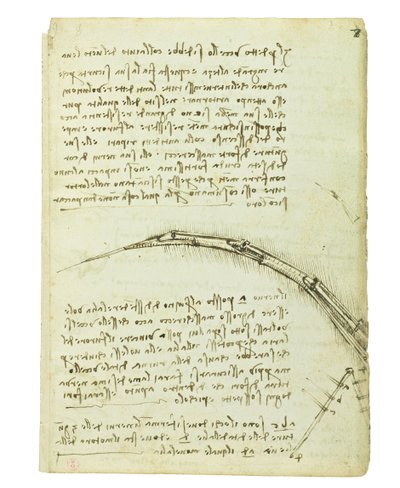 Codex over de vlucht van vogels, Folio 7 recto door Leonardo da Vinci